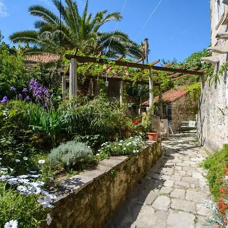 Stella City Center *