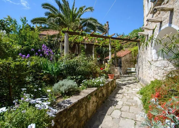 Stella City Center *